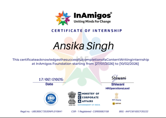InAmigos Internship Completion